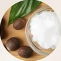 Shea butter dalam mangkuk dan biji shea